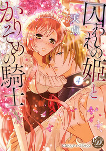 囚われの姫とかりそめの騎士