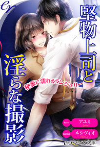 堅物上司と淫らな撮影 秘蜜に濡れるランジェリー