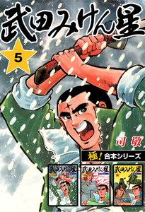 【極!合本シリーズ】武田みけん星5巻 電子書籍版