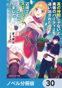 真の仲間じゃないと勇者のパーティーを追い出されたので、辺境でスローライフすることにしました【ノベル分冊版】 30 電子書籍版