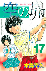 空の昴 (17) 電子書籍版