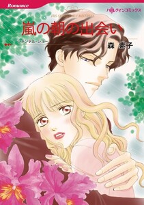 嵐の朝の出会い (分冊版)12話 電子書籍版