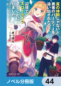 真の仲間じゃないと勇者のパーティーを追い出されたので、辺境でスローライフすることにしました【ノベル分冊版】 44 電子書籍版