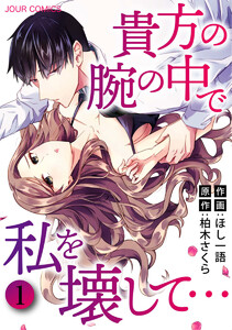 貴方の腕の中で私を壊して… 分冊版 : 3 電子書籍版