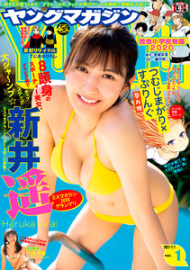ヤングマガジン