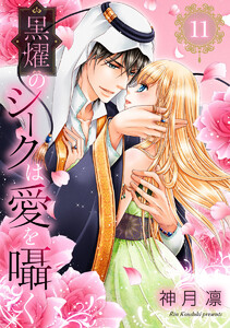 黒燿のシークは愛を囁く (11) 電子書籍版