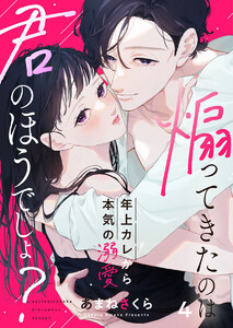 煽ってきたのは君のほうでしょ?～年上カレから本気の溺愛～4 電子書籍版