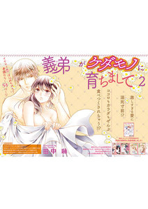 義弟がケダモノに育ちまして【短編】