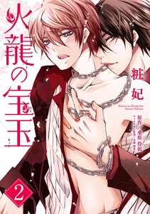 火龍の宝玉(2) 電子書籍版