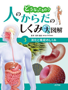 消化と吸収のしくみ3 どうなってるの!? 人のからだのしくみ大図解 電子書籍版