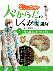 感覚器官と脳のはたらき5 どうなってるの!? 人のからだのしくみ大図解 電子書籍版