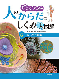 からだと細胞6 どうなってるの!? 人のからだのしくみ大図解 電子書籍版