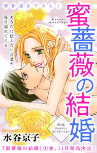 Love Silky 蜜薔薇の結婚