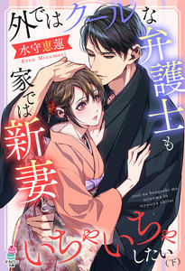 外ではクールな弁護士も家では新妻といちゃいちゃしたい (下) 電子書籍版