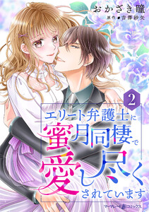 エリート弁護士に蜜月同棲で愛し尽くされています【分冊版】2話 電子書籍版