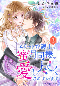 エリート弁護士に蜜月同棲で愛し尽くされています【分冊版】3話 電子書籍版