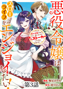 悪役令嬢はスローライフをエンジョイしたい!～やっと婚約破棄されたのに、第二王子がめっちゃストーカーしてくるんですけど…～【単話】3 電子書籍版