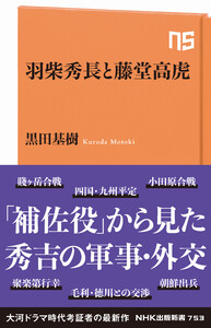 羽柴秀長と藤堂高虎 電子書籍版