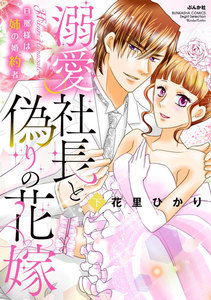 溺愛社長と偽りの花嫁 旦那様は姉の婚約者