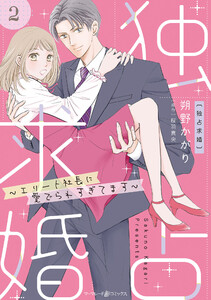独占求婚～エリート社長に愛でられすぎてます～【分冊版】2話 電子書籍版