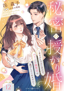 秘密の授かり婚～身を引こうとしたけど、エリート御曹司が逃がしてくれません～【分冊版】12話 電子書籍版