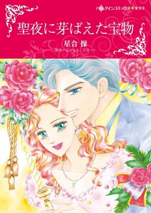 聖夜に芽ばえた宝物 (分冊版)3話 電子書籍版