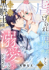 虐げられ治癒師として生きていくつもりでしたが最強黒騎士様に溺愛されるなんて聞いてません!(分冊版) 【第12話】