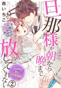 旦那様が朝から晩まで放してくれない~エッチで甘いワケあり婚!?