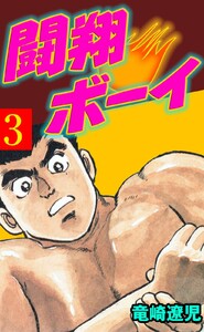 闘翔ボーイ (3) 電子書籍版