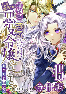 婚約者が浮気しているようなんですけど私は流行りの悪役令嬢ってことであってますか?【分冊版】45 電子書籍版