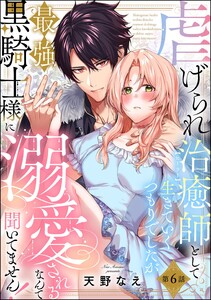 虐げられ治癒師として生きていくつもりでしたが最強黒騎士様に溺愛されるなんて聞いてません!(分冊版) 【第6話】 電子書籍版
