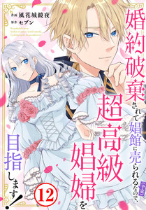 婚約破棄されて娼館に売られる(予定)なので、超高級娼婦を目指します! (12)