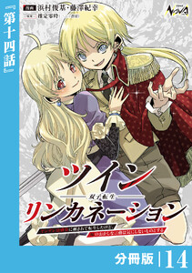 ツインリンカネーション【分冊版】14