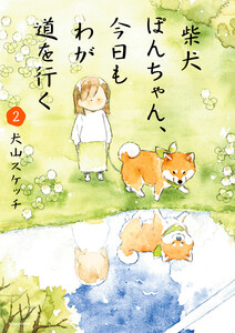 柴犬ぽんちゃん、今日もわが道を行く2