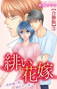 緋い花嫁～契約婚と彼と拗れた一族～【合冊版】 (3) 電子書籍版