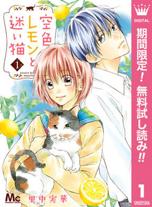 空色レモンと迷い猫