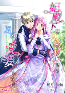 妃殿下の見栄っ張りのせいで殿下の愛妾になりました(3) 電子書籍版