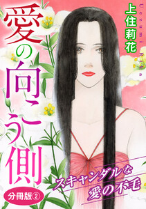愛の向こう側 スキャンダルな愛の不毛 分冊版 (2) 電子書籍版