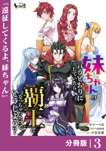 妹ちゃんの言うとおりにしていたら覇王になっちゃったけど、どうしよう?【分冊版】3 電子書籍版