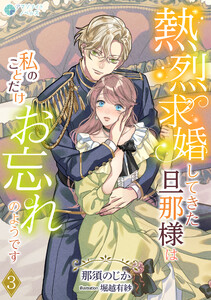 熱烈求婚してきた旦那様は私のことだけお忘れのようです(3) 電子書籍版