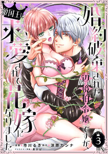 婚約破棄された辺境伯令嬢ですが、敵国王に求愛されて花嫁になりました (3) 電子書籍版