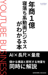 年商1億 寝落ち系動画ビジネスがわかる本