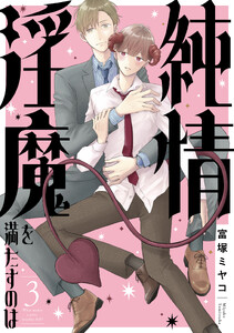 純情淫魔を満たすのは (3)