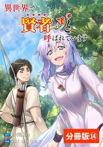 異世界で『賢者……の石』と呼ばれています【分冊版】(ポルカコミックス)14 電子書籍版