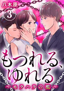 もつれる、ゆれる ～モラハラの檻～ 3巻 電子書籍版