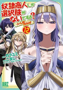 奴隷商人しか選択肢がないですよ? (12) ～ハーレム?なにそれおいしいの?～ 【電子限定おまけ付き】