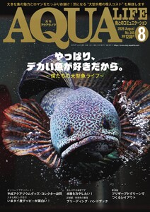 アクアライフ 2026年8月号