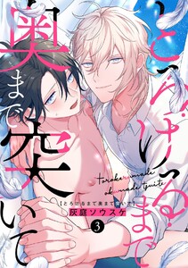 とろけるまで奥まで突いて(3) 電子書籍版