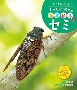 セミ14 しゃしん絵本 小さな生きものの春夏秋冬 電子書籍版