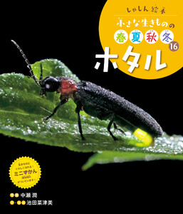 ホタル16 しゃしん絵本 小さな生きものの春夏秋冬 電子書籍版
